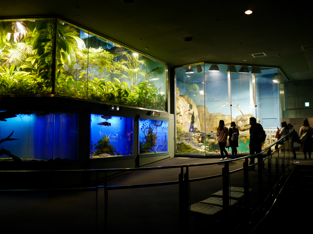 Meoto Iwa & Toba Aquarium